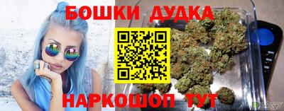 a pvp Шебекино