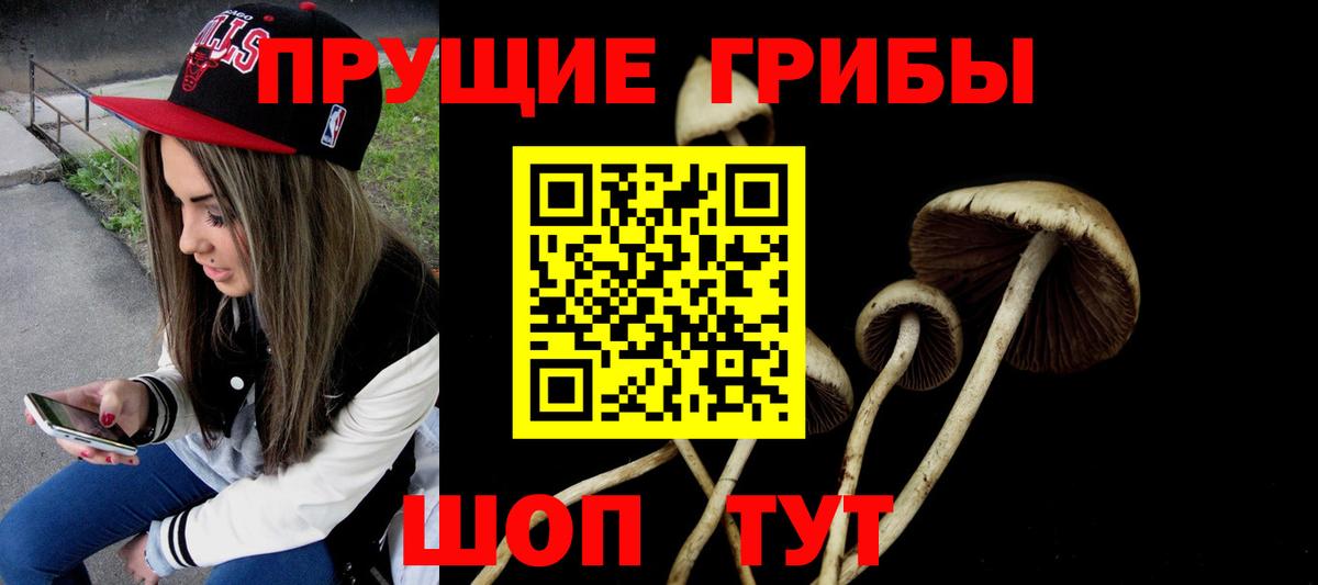 Псилоцибиновые грибы Psilocybine cubensis  купить наркотики сайты  Азнакаево  Вход с VPN 