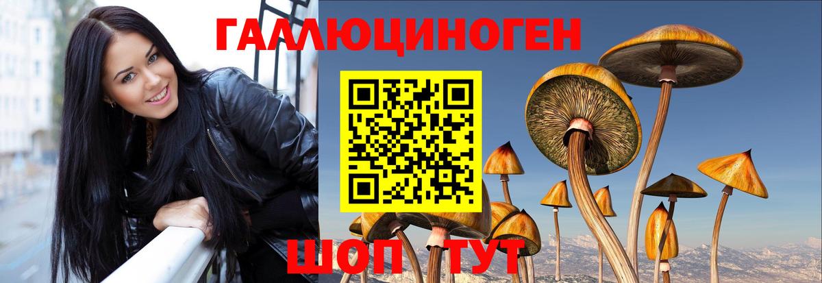 Псилоцибиновые грибы Magic Shrooms Азнакаево